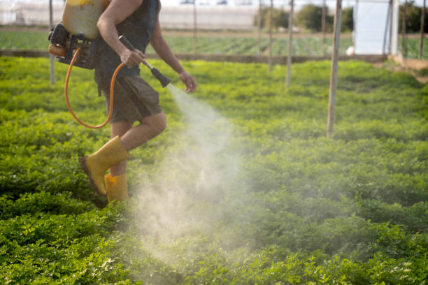 Best Pest Prevention Services  in Pierson, FL