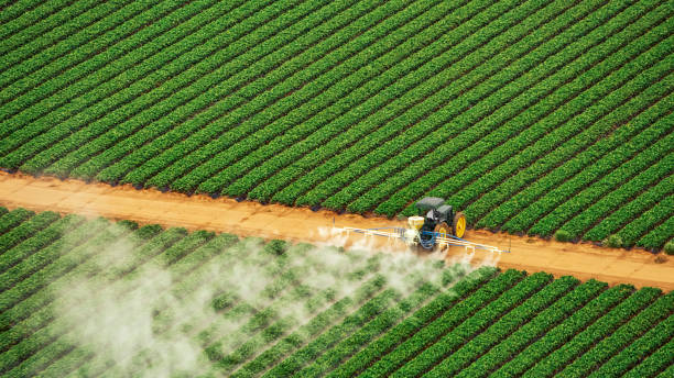 Best Pest Removal Services  in Pierson, FL