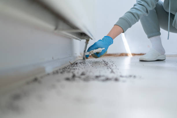 Best Pest Control Near Me in Pierson, FL