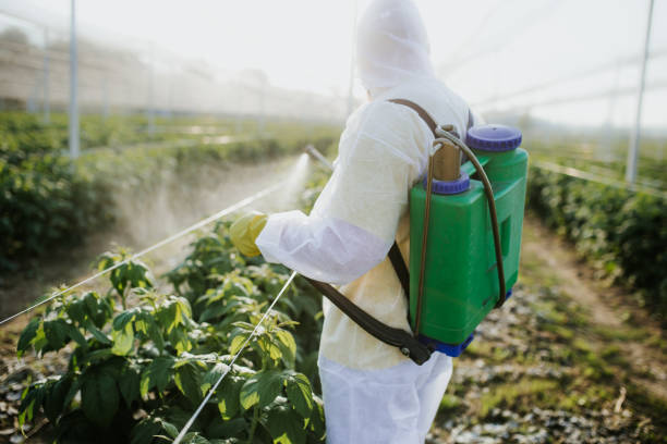 Best Commercial Pest Control Services  in Pierson, FL